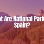 A scenic view of a Spanish national park with tall mountains, green forests, and clear blue sky, realistic.